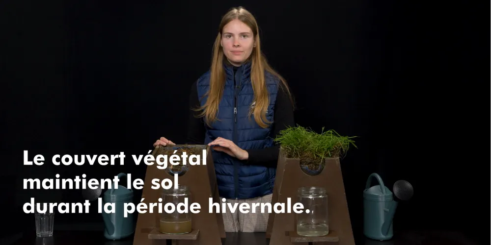 Sol couvert ou sol nu : qui absorbe le mieux la pluie ?