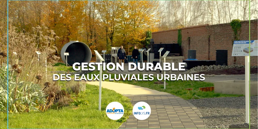 Préserver l'eau et prévenir les crues : Adopta propose des solutions concrètes.