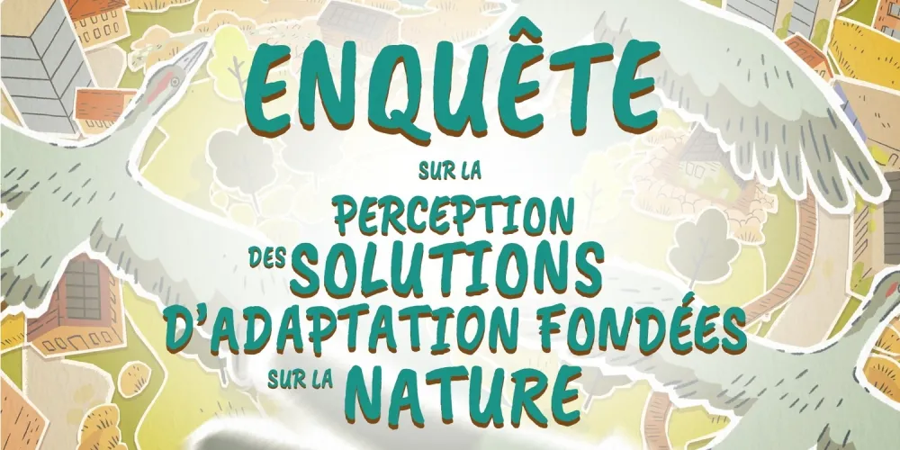 Contribuez à notre étude sur les Solutions d'Adaptation Fondées sur la Nature.