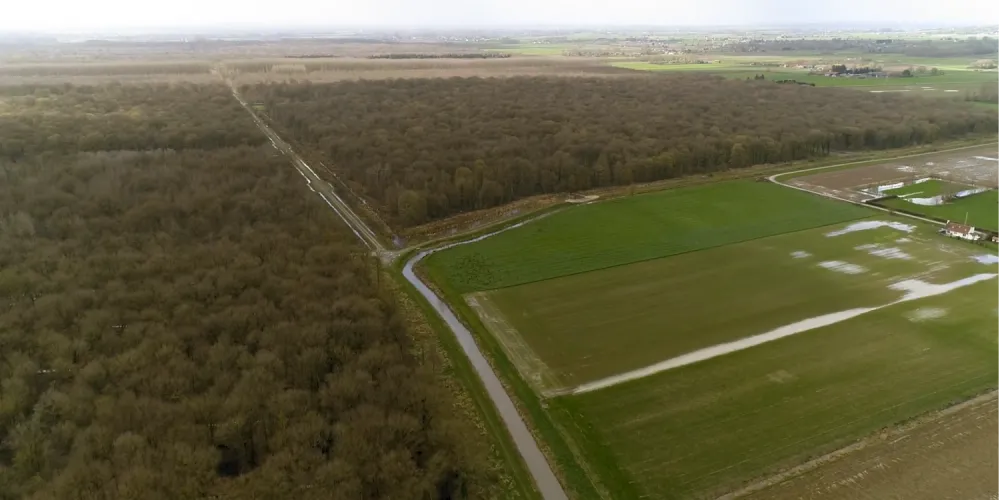 C'est quoi, une zone humide ?