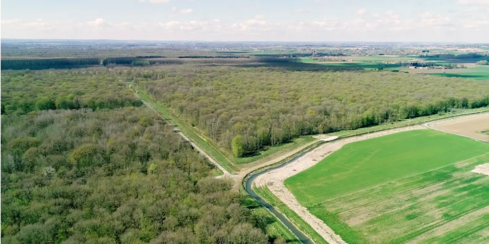 Découvrez le Symsagel : Rôle, activités et résultats.