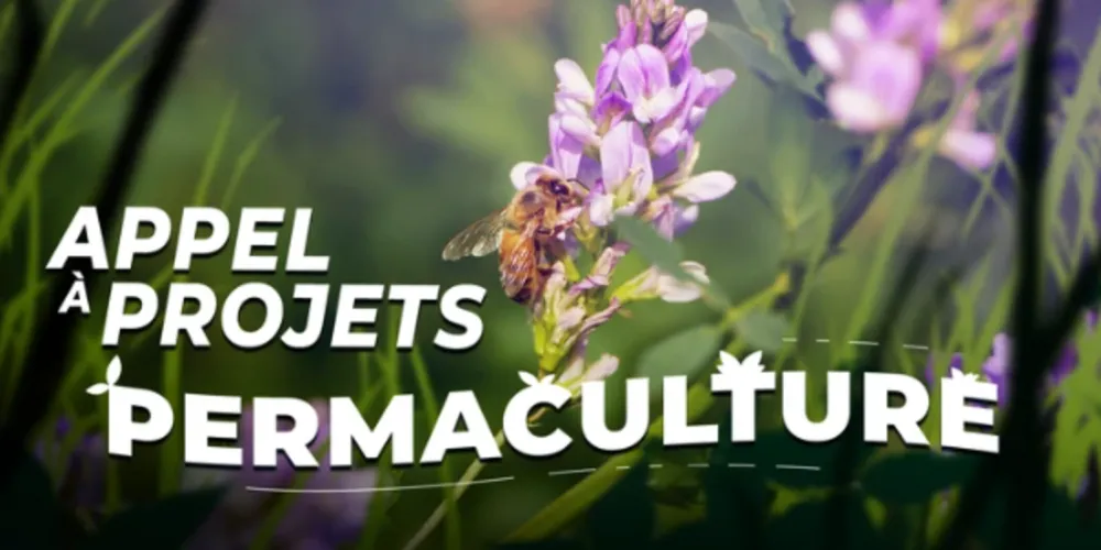 Appel à projets Permaculture à Aire-sur-la-Lys