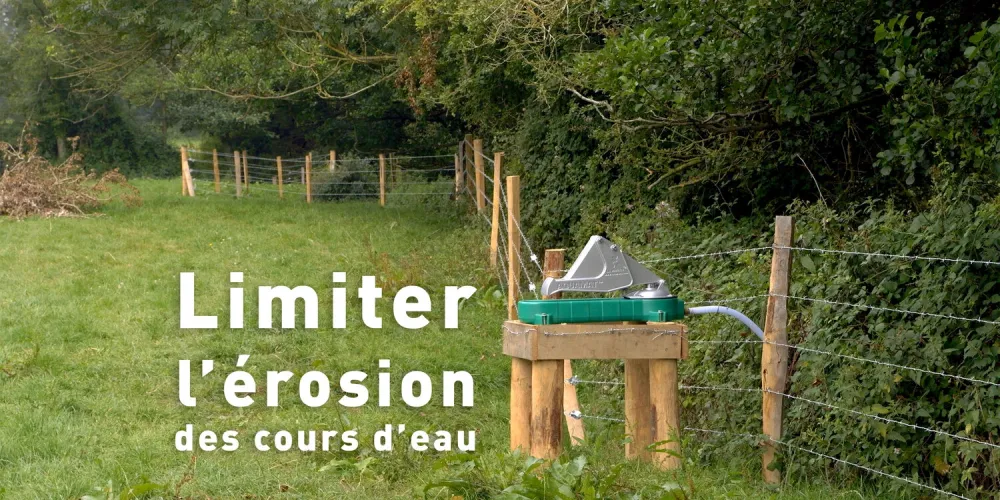 La protection des berges