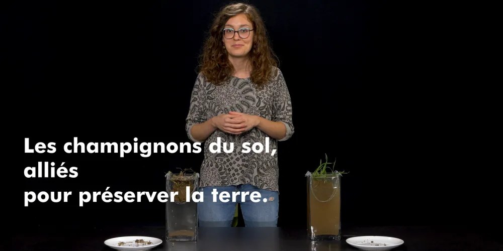 Le "Slack Test" : La preuve que la terre nous parle !