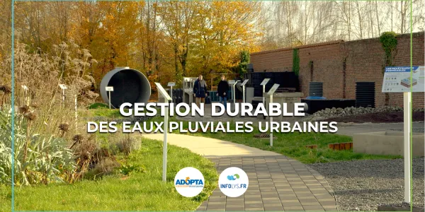 visuel Pr&eacute;server l'eau et pr&eacute;venir les crues : Adopta propose des solutions concr&egrave;tes.