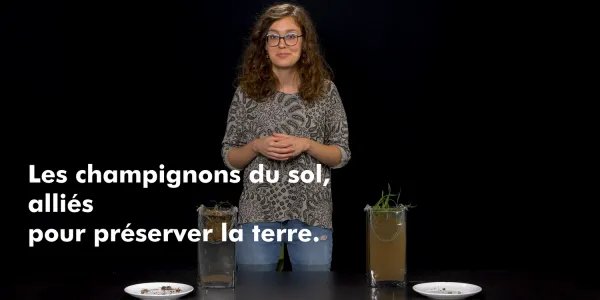 visuel Le "Slack Test" : La preuve que la terre nous parle !