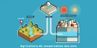 AGRICULTURE DE CONSERVATION DES SOLS