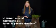 Sol couvert ou sol nu : qui absorbe le mieux la pluie ?