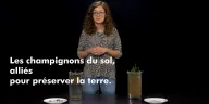Le "Slack Test" : La preuve que la terre nous parle !